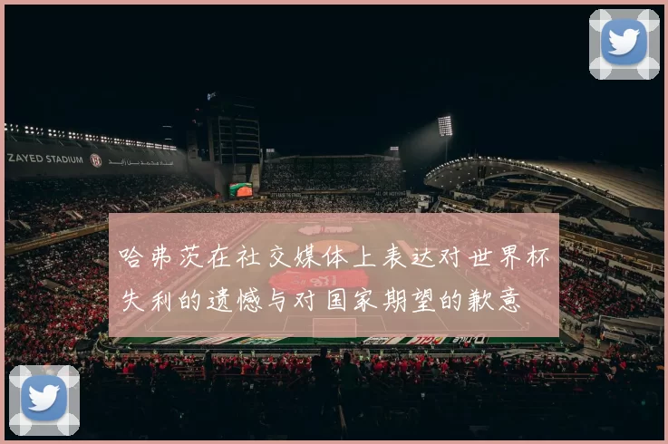 哈弗茨在社交媒体上表达对世界杯失利的遗憾与对国家期望的歉意